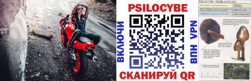 Галлюциногенные грибы Cubensis  Фролово 