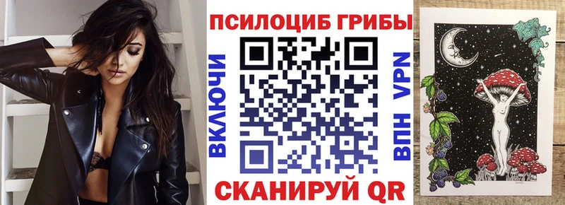 Псилоцибиновые грибы Psilocybine cubensis Фролово